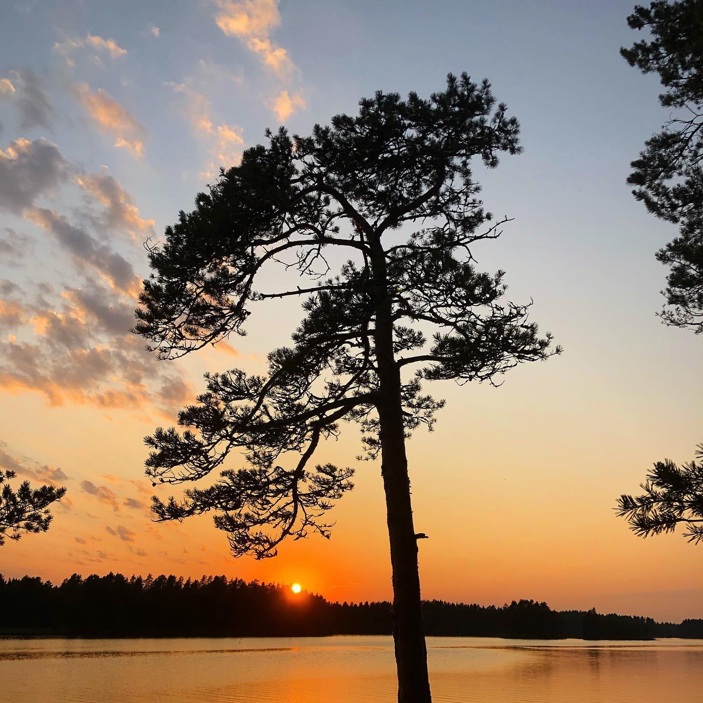 Auringonlasku ja m&auml;nty