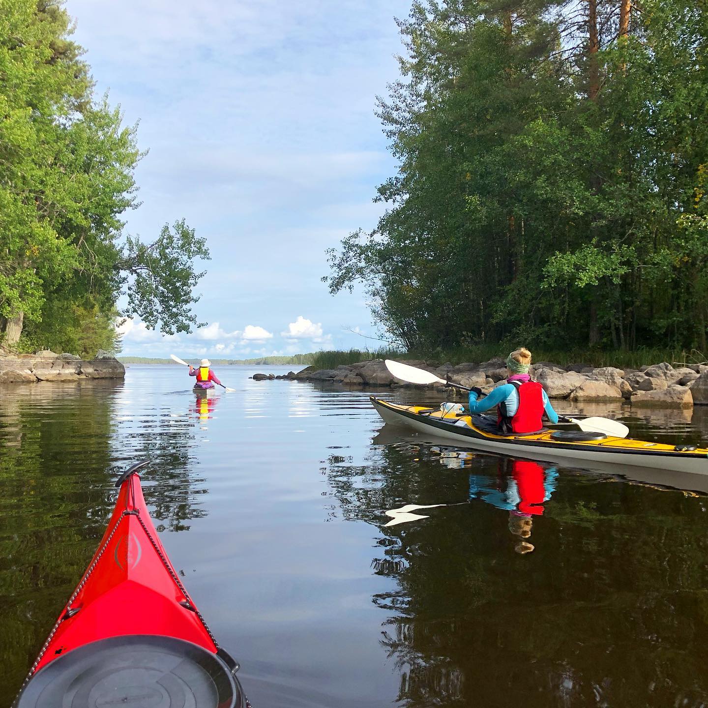 Melomassa salmen l&auml;pi